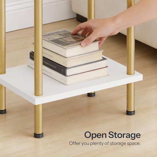 HOOBRO End Table, Small Side Table, Nightstand with 2-Layer Storage Shelves, Sofa Table for Small Spaces, Living Room, Bedroom, Stable Frame, Easy Assembly, White and Gold DW09BZ01 - color: White + Gold