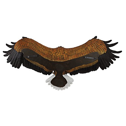 Design Toscano Freedom's Pride Eagle Plaque: Large - style: Freedom's Pride American Bald Eagle