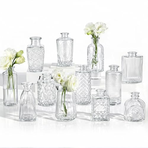 RUCKAE Small Clear Bud Vases Bulk 12 Pack Mini Flower Glass Vases for Centerpiece Table Wedding Decorations Home Decor Party - style: Transparent 12 Pack