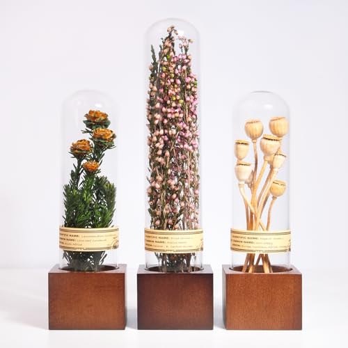 3Pcs Dried Flower Decor,Knick Knacks for Shelves,Cool Stuff for Bookshelf,Small Plants Decor for Office Shelves,Natural Green Plants Boho Shelf Decor,Apothecary Decor,Unique Gifts for Women,Friends - color: Romantic Pink Trio,3-piece Set