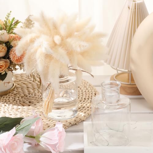Bokon 12 Pcs Plastic Bud Vases in Bulk for Table Centerpieces, 4.7in Hyacinth Avocado Growing Bud Vase Bulk, Small Flower Bulb Plant Containers for Wedding Room Table Decorations (Straight Style) - style: Straight Style