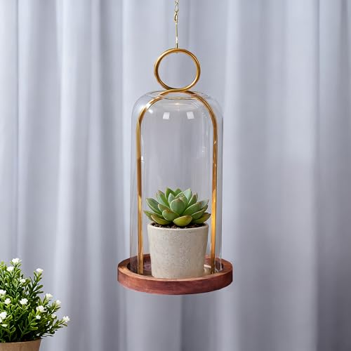 12" High Versatile Vintage Brass Metal Candle Holder with Handmade Sturdy Glass Dome and Natural Wooden Base for Pillar Candle & Plants, Industrial, Farmhouse, Shabby Chic, Display Cloche Bell Jars - color: Brass, size: 6"x12"