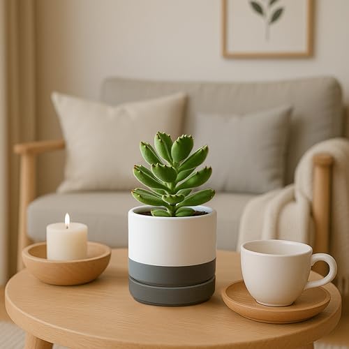 D'vine Dev Set of 4 Small Ceramic Plant Pots, 4.7 Inch Succulent Planter Pot for Plants with Drainage Hole and Saucer, White/Speckled Grey, 94-X-B-6 - color: White/Speckled Grey, size: 4.7 Inch