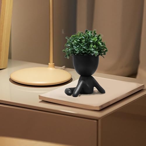 Zerzsy Cute Faux Succulent Desk Decor, Small Fake Plants Decor for Bedroom and Bathroom, Lovely Faux Succulent Desk Decoration for Office and Home - Set of 1 - color: Black-e