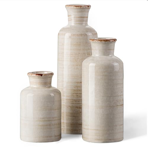 CwlwGO- Ceramic Rustic Vase 3 Piece Set,Small vase for Country Home Decoration,Modern Farmhouse Decor, Living Room Table Decoration, Bookcase, Fireplace and Entrance Decorations.(White) - color: Ivory