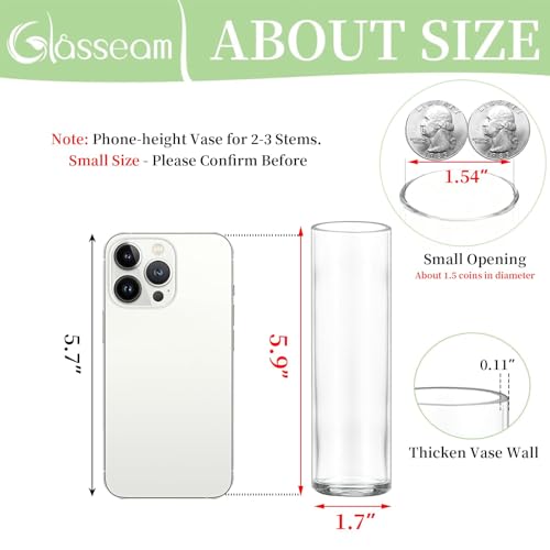 Cylinder Bud Vases in Bulk 24: Glasseam Small Clear Glass Vases for Centerpieces Wedding Table Decor Modern 5.9In Flower Vase Set for Single Stem Roses Tulips