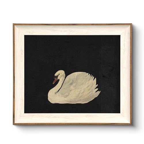 VIYYIEA Framed Wall Art for Living Room, Swan Art Canvas Prints, Vintage Home Decor, Animals Painting Picture, Bathroom Wall Decor Gifts for Friends or Family - 12L x 10W - color: Animal-【Zwaan】, size: 12"L x 10"W