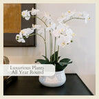CG Hunter Faux White Orchid Plant, Premium Artificial Indoor Flower Display Stands 23”, Beautiful Sculptural Blooms That Lasts Forever, White Planter Pot Included - size: 23" White 4-Stem Orchid