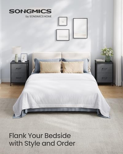 SONGMICS BELLAH Collection - Dresser for Bedroom, Chest of Drawers, Nightstand, 2 Drawers, Storage Organizer Unit, Closet, Entryway, Modern, Slate Gray ULGS312GN02S - color: Slate Gray, size: 1 Pack