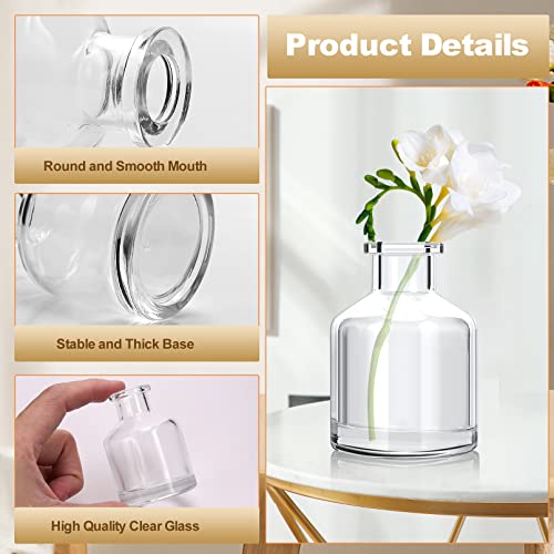 12Pcs Bud Vases,Clear Glass Bud Vase,Living Bud Vases Bulk,Mini Flower Vases,Small Vases for Flowers Centerpieces Home Living Room Office Table Decor (2 x 2.8 in)
