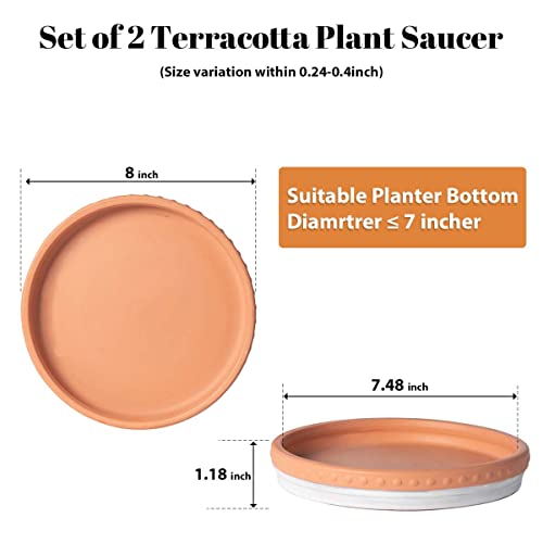 YBX 8-inch Plant Saucer Premium Terracotta Saucer Round Ceramic Plant Trays, Pack of 2 (White/Terracotta) - color: White/Terracotta