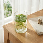 4 Inch Tall Clear Glass Cylinder Vase Flower Vase Decorative Table Centerpiece Arrangement Candle Holder High Hydroponic Floral Vase for Plants Bouquet Wedding Home Decor