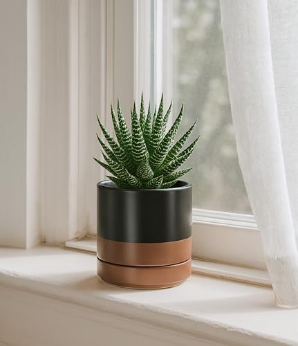 D'vine Dev Set of 2 Plants Pots, 4.7 Inch Ceramic Planter Pot for Plants with Drainage Hole and Saucer, Black/Speckled Tan, 94-V-B-7 - color: Black/Speckled Tan, size: 4.7 Inch