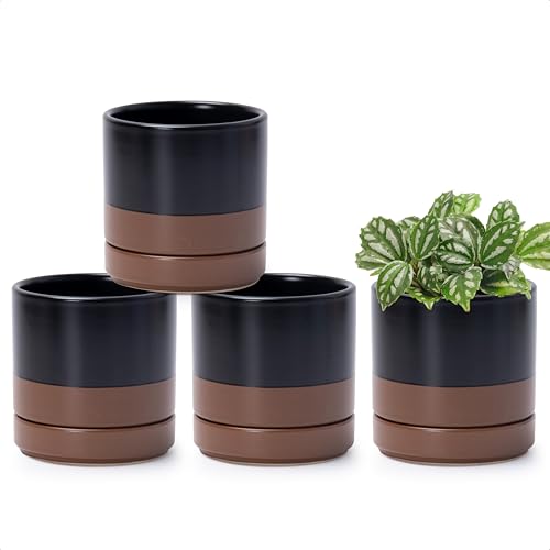 D'vine Dev Set of 4 Small Ceramic Plant Pots, 4.7 Inch Succulent Planter Pot for Plants with Drainage Hole and Saucer, Black/Speckled Tan, 94-X-B-7 - color: Black/Speckled Tan, size: 4.7 Inch