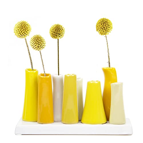 Chive - Pooley 2, Ceramic Flower Vase, 8-Tube Shape (Yellow) - color: Yellow