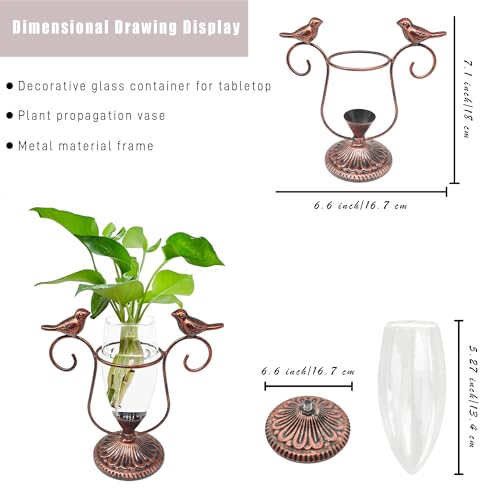 2 Pack Desktop Plant Terrarium,Bird Art Glass Propagation Vase, Propagation Planters with Vintage Metal Frame, Suitable for Decoration of Desktop Hydroponic Plants in Office and Living Room - color: Bird