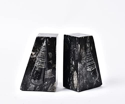 AMOYSTONE 1Pair Decorative Bookends for Shelves, Crystal Stone Bookends Natural Orthoceras Fossil Book Ends Trapezoid 4-5 LBS Height 4.7" - color: Black & White B, size: 4-5 Lbs
