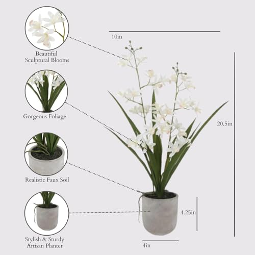 CG Hunter Faux Vanda Orchid Plant, Premium Artificial Indoor Flower Display Stands 20.5”, Beautiful Sculptural Blooms that Lasts Forever, White Planter Pot Included - size: 20.5" Vanda Orchid