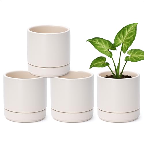 D'vine Dev Set of 4 Small Ceramic Plant Pots, 4.7 Inch Succulent Planter Pot for Plants with Drainage Hole and Saucer, Oatmeal, 94-X-B-8 - color: Oatmeal, size: 4.7 Inch