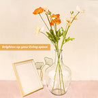 PINIWON Large Clear Glass Vase, 11.2'' H x 7.1'' W, Bubble Flower Vase for Pampas Grass, Stout Jug Vase for Table Centerpieces Home Indoor Decor - 1 Piece