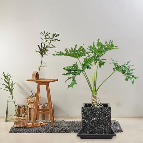 Plant Saucer 12 Inch Square 2 Pack, Plastic Plant Drip Trays, Plant Saucers for Indoors and Outdoors, Flower Pot Saucers, Saucers for Potted Plants, Planter Saucer, Plant Water Catcher Trays for Pots - color: Brown, size: 12"(2Pack)