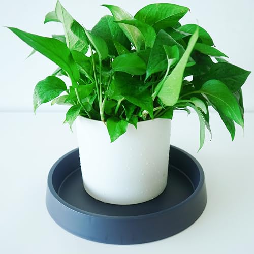 1 Pack Plant Saucer Tray for Ceramic Plastic Pots, 6 inch Plant Saucers for Indoors, Pot Saucers Trays, Flower Planter Water Drip Trays for Pots Base (6", Blue) - color: Dark Blue, size: 6" (1 Pack)