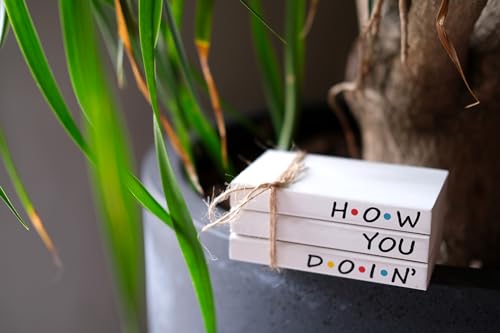 Friends TV Show Merchandise Sign for Home Tiered Tray Decor, Mini Decorative Wood Book Stack for Shelf Accent, Funny Friendship Gifts - How You Doing Sign - color: How U Doing