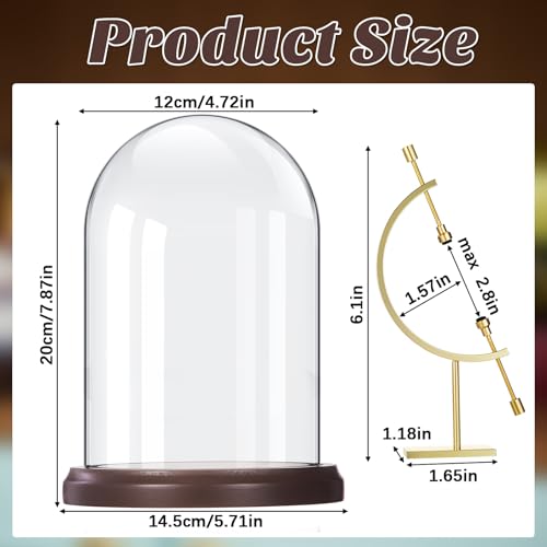 Beeveer 5" x 8" Pocket Watch Glass Display Dome Cloche with Gold Sphere Holder and Wooden Base Pocket Watch Display Case Showcase Bell Terrarium Jar for Ornaments Plants Medals Photos Collectibles