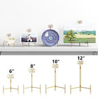 SVENJBB Plate Holder Display Stand, 6 Inch Decorative Plate Stands for Display, Gold Iron Easel Display Stand for Picture, Book, Photo Frame and Decorative Plates (1 Pack)