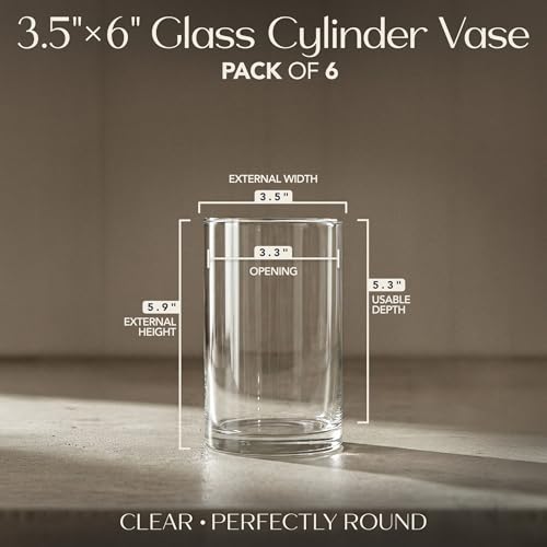 Glass Cylinder Flower Vase Centerpieces for Tables 3"x 6" Tall (5.3" Usable Depth) Set of 6 -Glass Vase Candle Holders Wedding Decor Vases for Centerpieces, Home & Event Decorations - Royal Imports - size: 3" wide x 6" tall - Set of 6