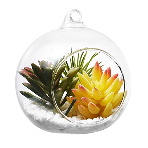 Hanging Glass Candle Holder, Globe Glass Tea Light Holder, Hanging Glass Vase, Flower Plants Terrarium, Glass Orbs Container, Micro Landscape DIY for Home, Office, Wedding (2.36" 12Pcs) - color: 2.36"12pcs