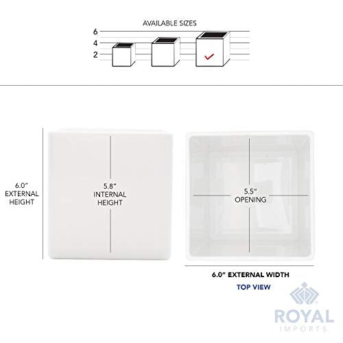 Royal Imports Flower Acrylic Vases Cubes - Decorative Centerpiece for Home or Wedding - Non Breakable Plastic, 6" - White - size: 6"x6"