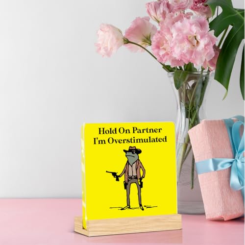 Funny Office Decor Funny Office Gifts Hold On Partner Im Overstimulated Sign Work Desk Decor Acrylic Humor Gifts for Women Men Coworker Friend Home Office Decorations - color: Hold On Partner I'm Overstimulated