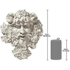 Design Toscano Bacchus, Grape Harvest Wine Greek Greenman Face Wall Sculpture, Medium, 12 inches tall, Cast Stone Resin, Antique Stone Finish - size: Medium, 12 Inch