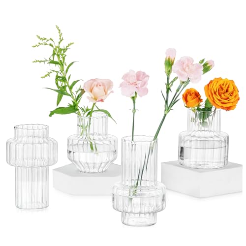 Glasseam Glass Bud Vases for Centerpieces: 4Pcs Clear Small Vase for Flowers Wedding Table Centerpieces - Modern Mini Decorations for Cute Vintage Home Living Room Decor - color: Clear- Wide Ribbed