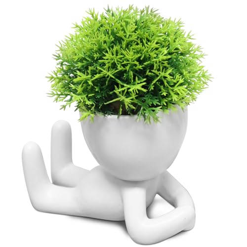 Zerzsy Mini Succulent Plant - Plants Gift - Cute Desktop Decoration Desk Decorations for Women Office -Small Plants Shelf Decor-Cute Cubicle Accessories-Set of 1 - color: White-g