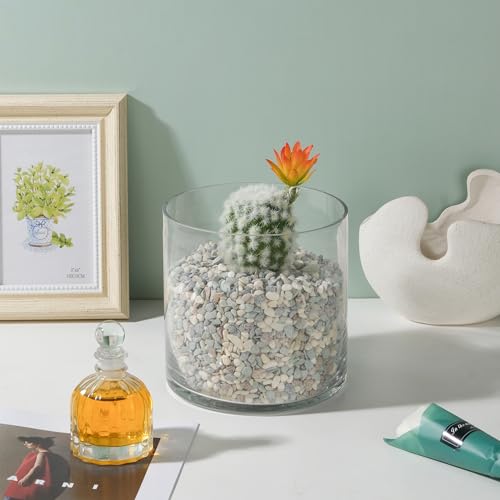 6" Wide 6" Tall Large Hand Blown Sturdy Clear Cylinder Glass Vase, Centerpiece Flower Vase for Rose, Tulip, Boquets, Hurricane Candle Holder (1, 6"x6") - size: 6"x6"