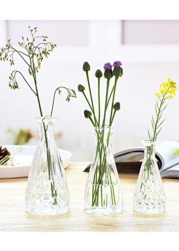 Set of 3 Mini Clear Glass Vase,Small Flower Bud Vase Hydroponics Planter Decorative for Flower,Table,Party,Home,Centerpieces(Clear 5) - color: Clear 5