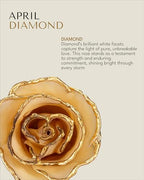 Forever Rose Hand-Dipped in 24K Gold, Diamond-Inspired April Birthstone with Sparkles, Real Rose in Luxury Gold Gift Box & Clear Glass Bud Vase – Perfect Ready for April Birthday or Any Occasion - color: April Diamond