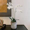 CG Hunter Faux White Orchid Plant, Premium Artificial Indoor Flower Display Stands 24”, Beautiful Sculptural Blooms That Lasts Forever, Grey Planter Pot Included - size: 24" White 2-Stem Orchid