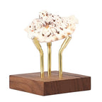 Hipiwe Sphere Display Stand Easel for Crystal Ball Mineral Geodes Rock Agate Small Collectibles Three Metal Peg Rock Display Easel with Wooden Base, Large - size: Large
