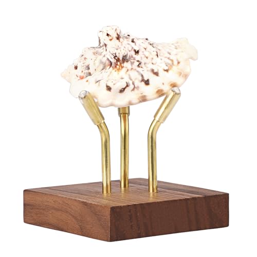 Hipiwe Sphere Display Stand Easel for Crystal Ball Mineral Geodes Rock Agate Small Collectibles Three Metal Peg Rock Display Easel with Wooden Base, Large - size: Large