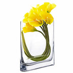 CYS EXCEL Glass Book Vase (H:8" Open:7"x2") Round Edge Oval Flower Vase Rectangular Wedding Centerpiece - size: H-8" Open-7"x2"