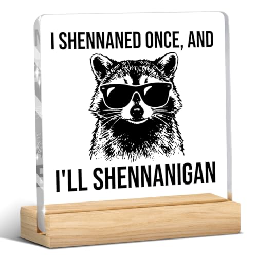 Raccoon Funny Office Decor Funny Desk Decor Sarcastic Gifts Coworker Gifts Acrylic Humor Gift for Women Men Boss Coworker Home Office Decorations - color: I Shennaned Once，And I'll Shennanigan
