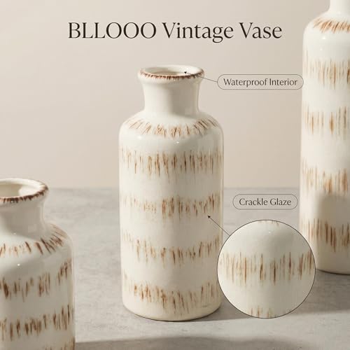 Vintage Ceramic Flower Vase Set of 3, Rustic Farmhouse Vase for Home Decor, Distressed Decorative Vase for Table Entryway Mantel Centerpiece Living Room Bathroom Bedroom (Ivory Vein) - color: 112-ivory Vein