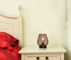 JHY DESIGN Set of 2 Metal Cage LED Lantern Battery Powered Cordless Accent Light with LED Great for Weddings Parties Patio Events for Indoors Outdoors - style: Set of two bronze egg
