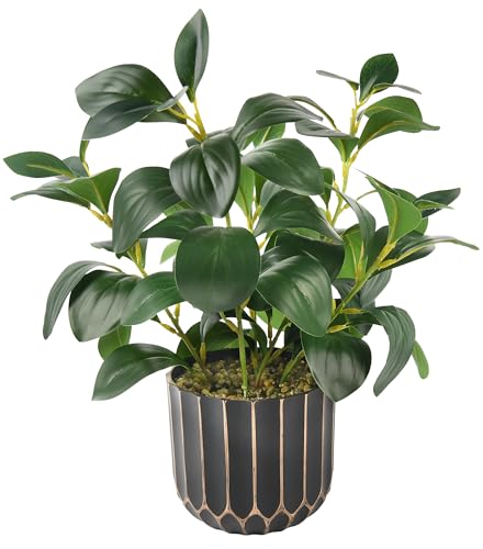 florisso Artificial Succulents with Fig Leaf Greenery in Black & Gold Planter, Fake Succulents Potted Decor for Farmhouse, Bathroom, Bedroom, Kitchen, Office Desk and Coffee Table (Black Gold) - color: Black & Gold Plastic Planter