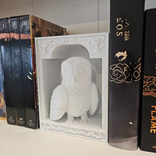 Dragons Awakening Book End – Fantasy Book Nook Insert for Dragon Readers – Unique Home Decor for Bookshelves & Libraries (White - Owl) - color: White - Owl
