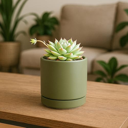 D'vine Dev Set of 4 Small Ceramic Plant Pots, 3.5 Inch Succulent Planter Pot for Plants with Drainage Hole and Saucer, Olive, 94-X-A-0 - color: Olive, size: 3.5 Inch