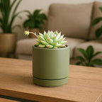 D'vine Dev Set of 2 Plants Pots, 3.5 Inch Ceramic Planter Pot for Plants with Drainage Hole and Saucer, Olive, 94-V-A-J - color: Olive, size: 3.5 Inch